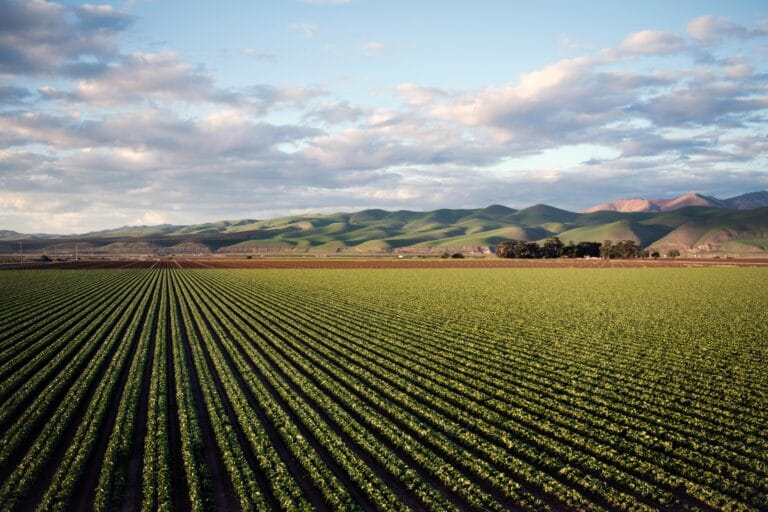 Σεμινάρια Aerial view of vast farmland with rows of crops and rolling hills in Santa Maria, CA.
